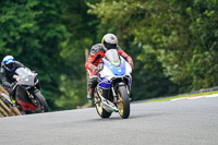 anglesey;brands-hatch;cadwell-park;croft;donington-park;enduro-digital-images;event-digital-images;eventdigitalimages;mallory;no-limits;oulton-park;peter-wileman-photography;racing-digital-images;silverstone;snetterton;trackday-digital-images;trackday-photos;vmcc-banbury-run;welsh-2-day-enduro